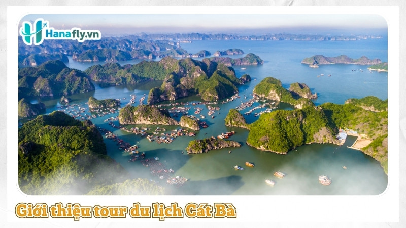 Giới thiệu tour du lịch Cát Bà